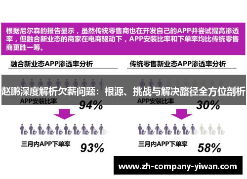赵鹏深度解析欠薪问题：根源、挑战与解决路径全方位剖析
